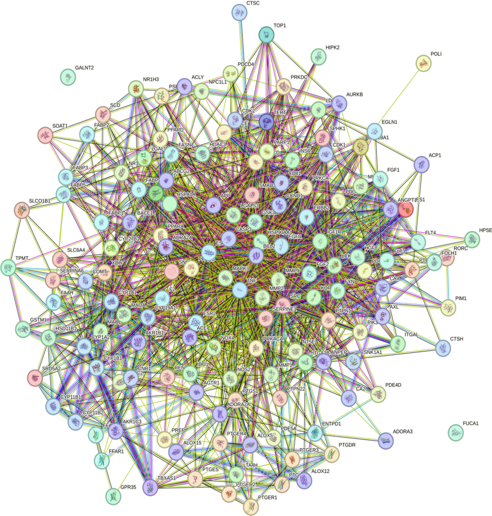PPI of 150 targets associated with T. chebula chemicals and inflammation, metabolism, and immunological dysregulation.
