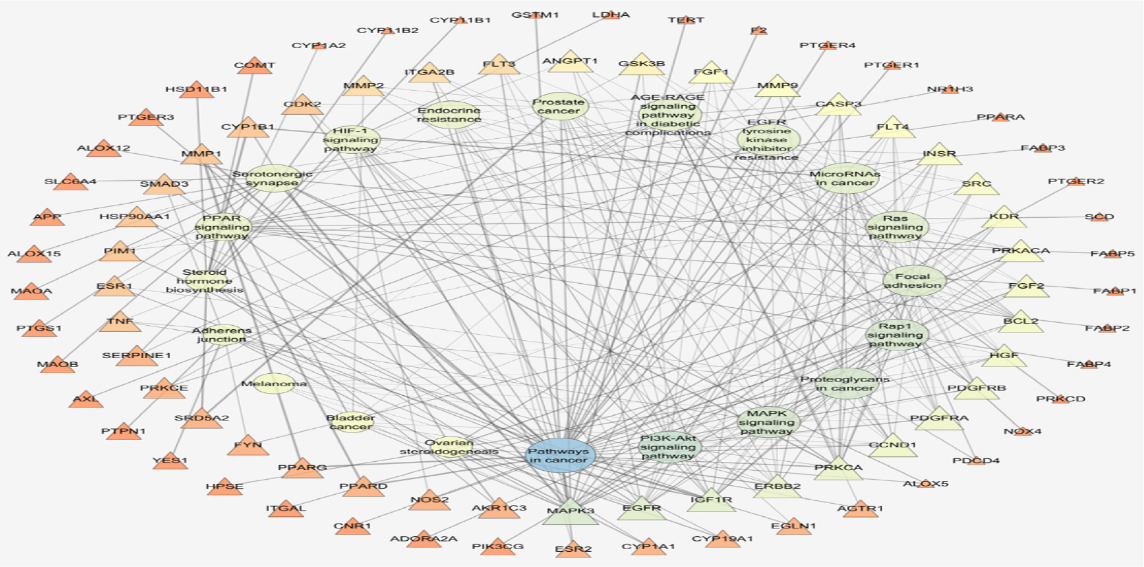 Enriched Pathway-Target Network.