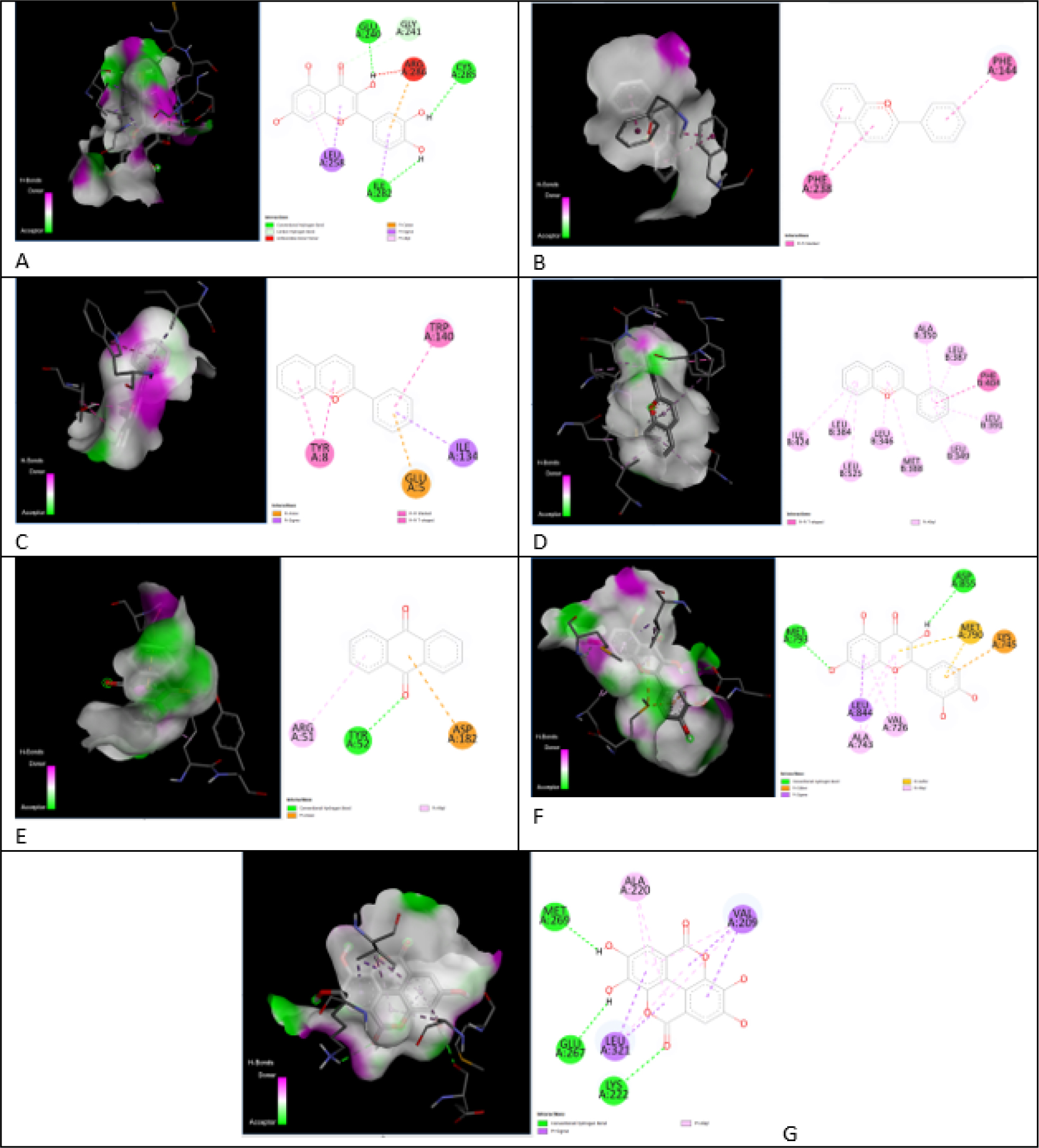 3D and 2D view of Haritaki bioactive- hub gene with highest binding affinity.