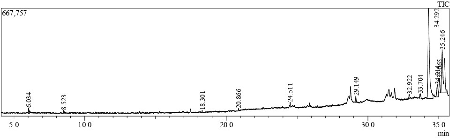 The Chromatogram of GC-MS Analysis of SGT.