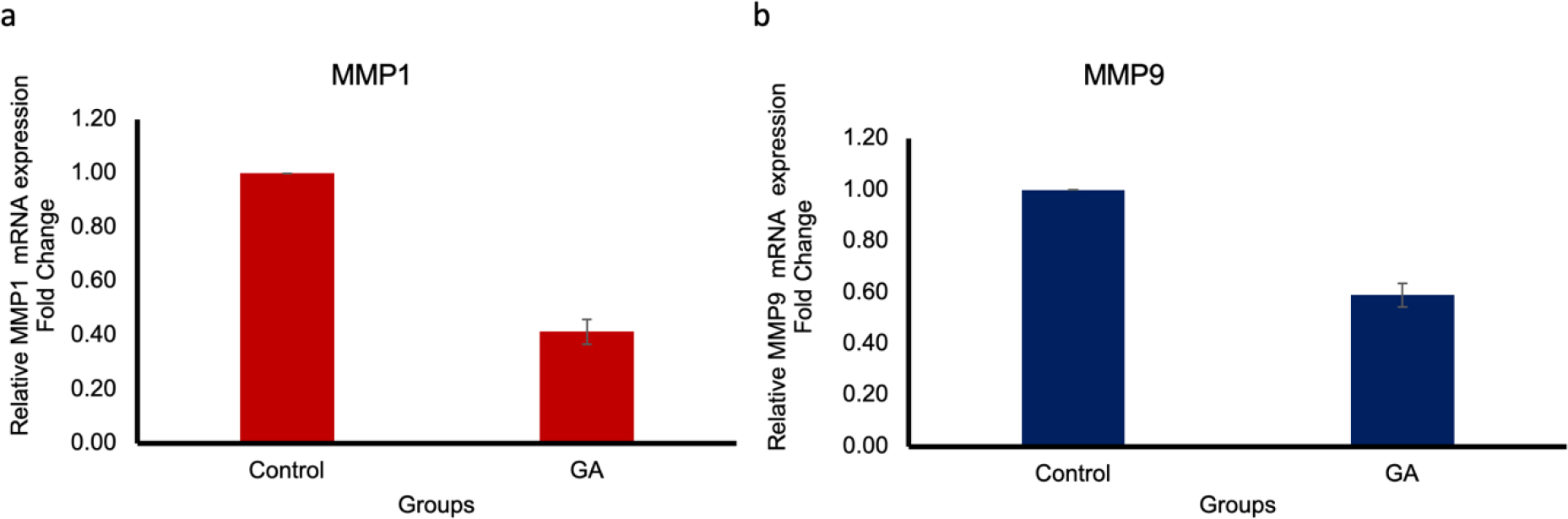 Effect ofG. aparine on a) MMP1 and b) MMP9 mRNA expression in KB oral carcinoma cells.