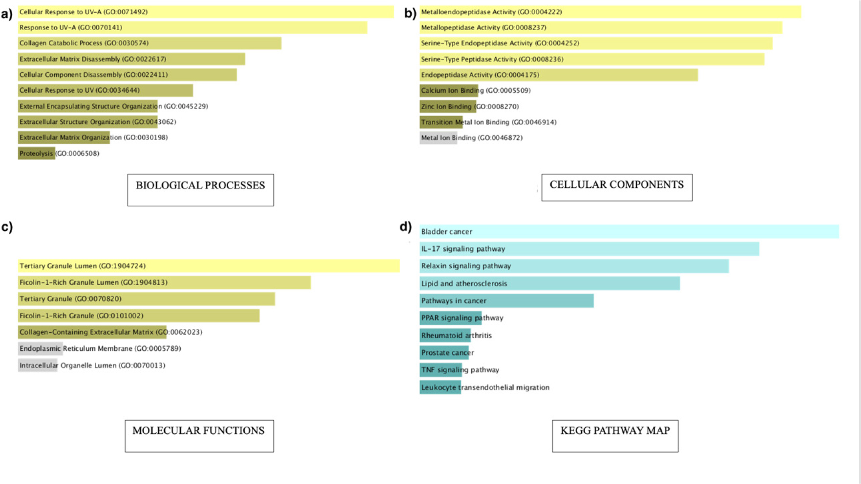 a) Biological Processes, b) Cellular Components, c) Molecular Functions - GO of the target genes, d) KEGG pathway map of OSCC.