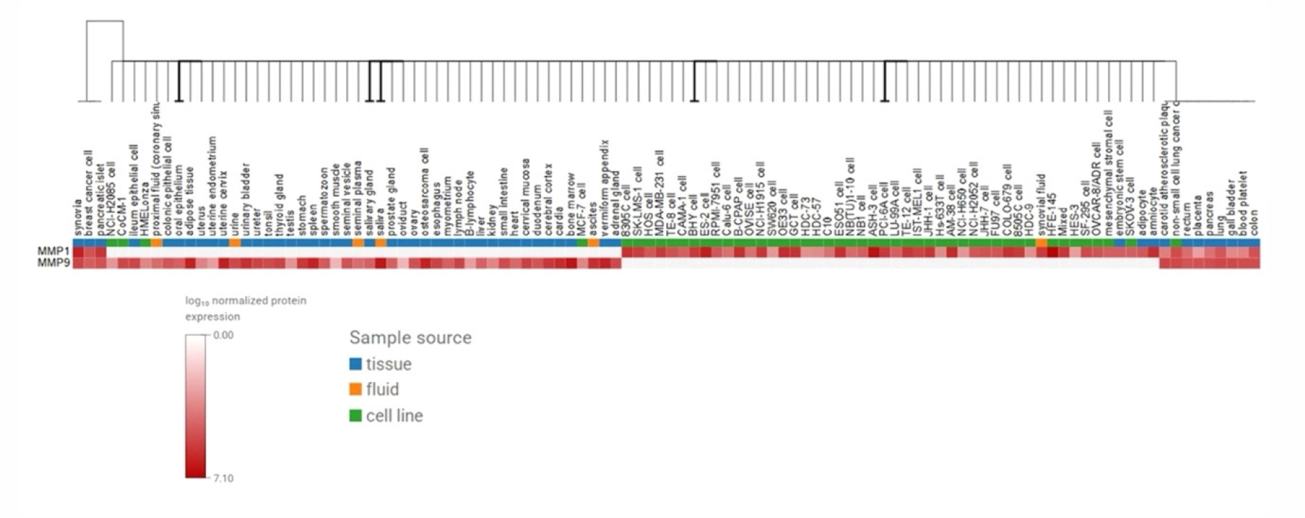 Expression heatmaps of multiple proteins across different tissues, fluids, and cell lines.