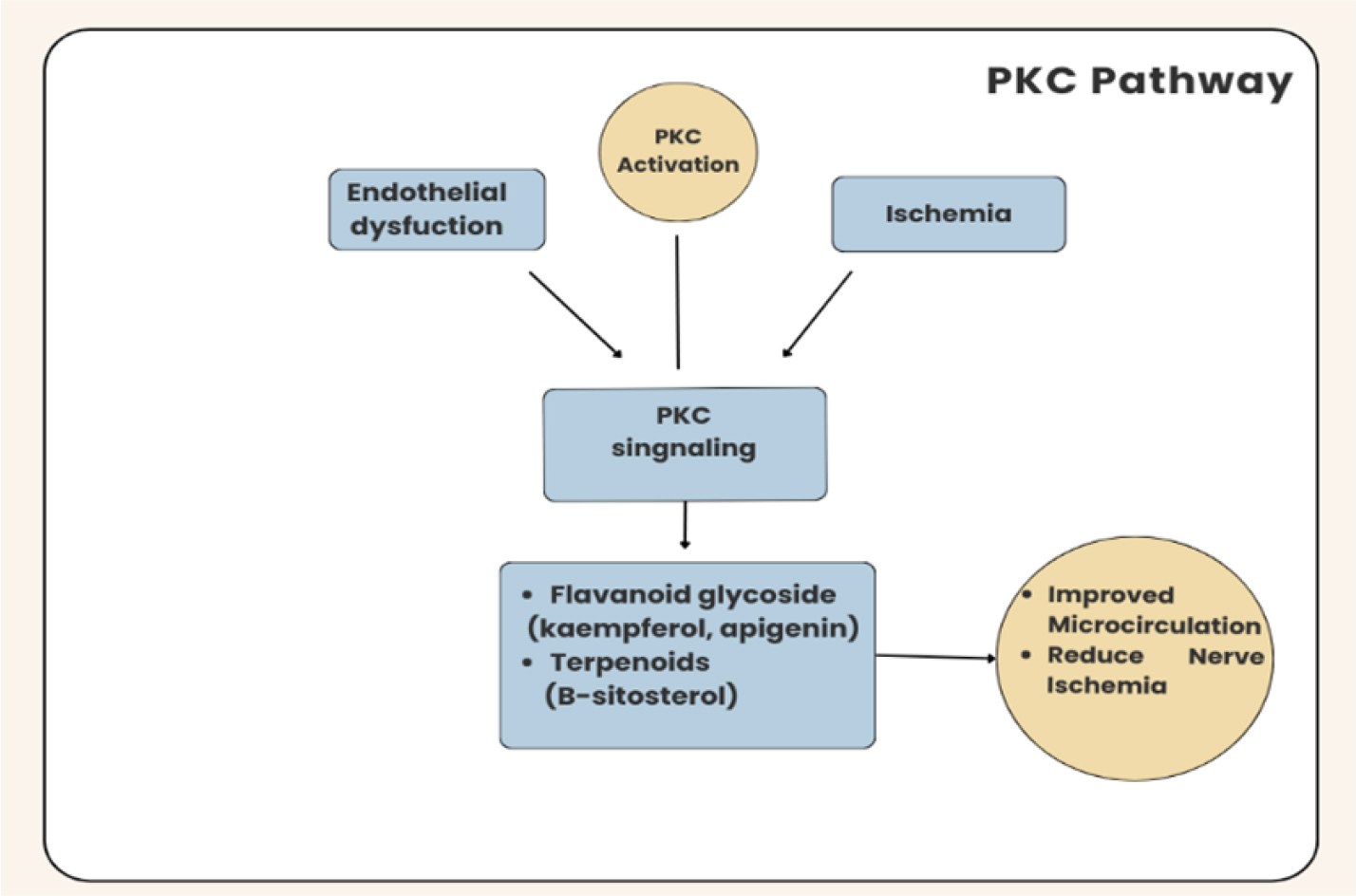 Probable action of Sarivadi Lauha on PKC Pathway.