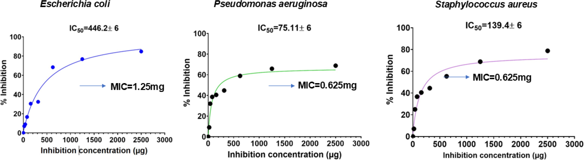 Estimation of IC50 and MIC of the methanolic fraction of B. diffusa root.
