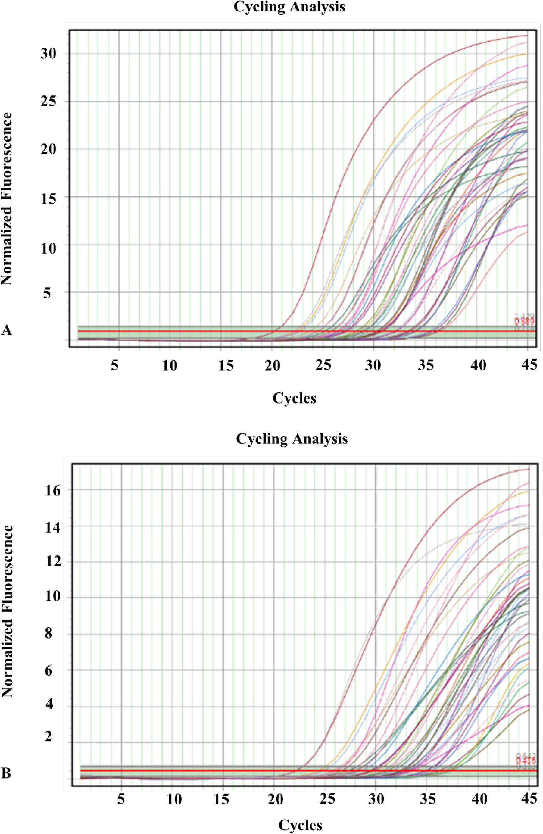 Amplification Curve of RdRp gene of SARS-CoV2 (A), N gene of SARS-CoV2 (B) and RNase P as a internal control gene (C) in Real-Time PCR.