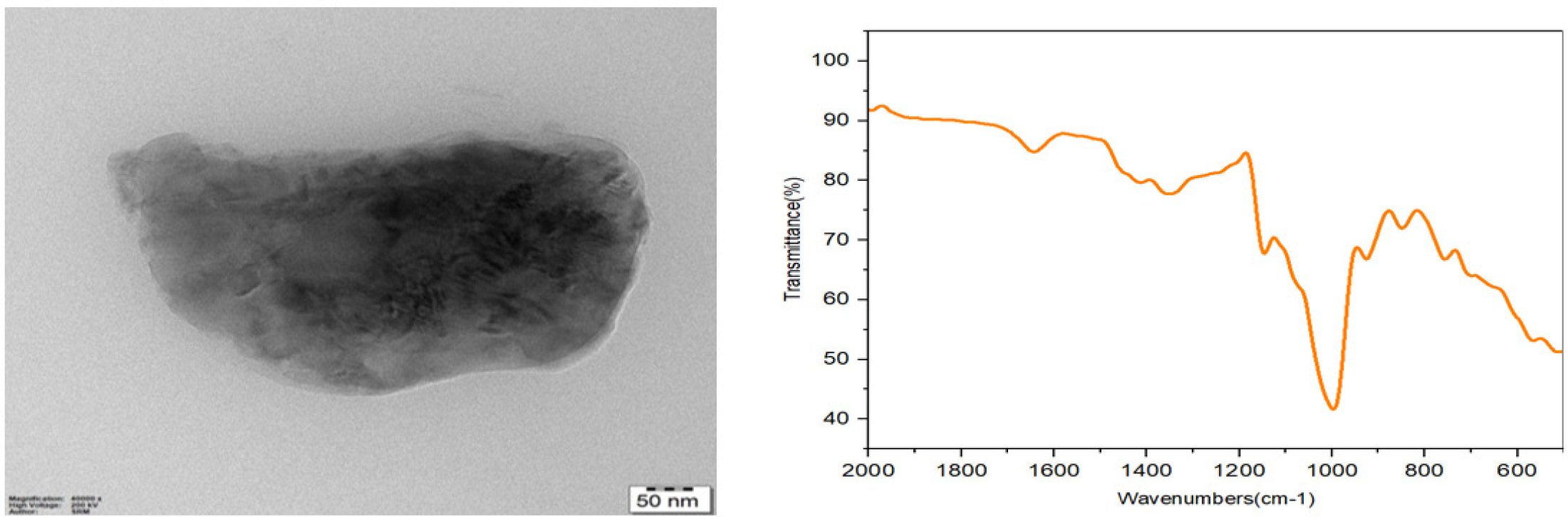Characterization of CuO nanoparticle-loaded CS/PVA hydrogel: (A) TEM image showing nanoparticle morphology and distribution; (B) FTIR spectrum confirming functional groups and polymer-nanoparticle interactions.