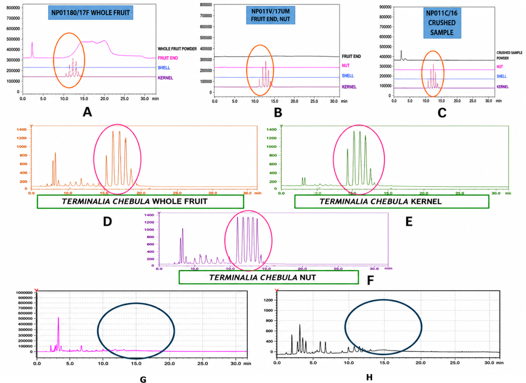 HPLC-ELSD Overlay chromatogram of various parts of fruit showing triglyceride pattern of Terminalia chebula -Whole fruit, Fruit rind and Nut, Crushed sample. A) Chromatogram of Whole fruit, Fruit rind, Shell and Kernel; B) Chromatogram of Fruit rind, Nut, Shell and Kernel; C) Chromatogram of Crushed sample powder, Nut, Shell and Kernel; D) Whole fruit; E) Kernel; F) Nut; G) Fruit rind; H) Shell.