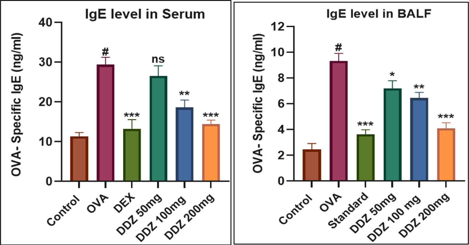 Effect of DDZ on the IgE level in serum and BALF. Values are expressed as Mean±SEM; n=6: Data analysed by One-way ANOVA test followed by Dunnett test of multiple comparisons. Level of significance: ### p<0.001, in comparison with the normal group, and ns p>0.05, * p<0.05, ** p<0.01, *** p<0.001, when in compared with the induction group.
