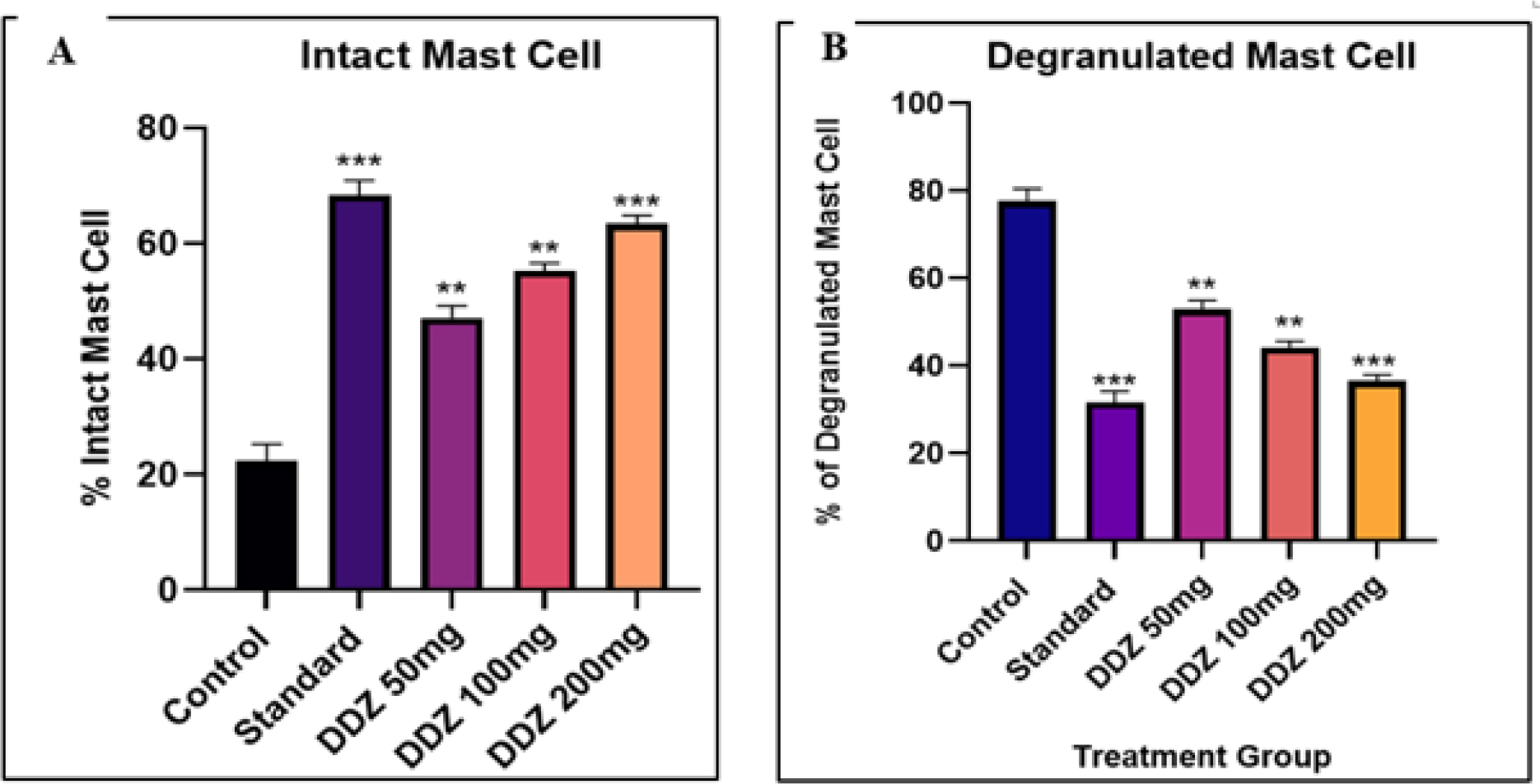 Effect of Daidzein on (A) Intact Mast Cell (B) Degranulated Mast Cell. Values are expressed in Mean±SEM (n=6). Data were analysed using a one-way ANOVA test followed by Dunnett’s test of Multiple comparisons. Level of Significance *** p<0.001, ** p<0.01 in comparison with the control group.