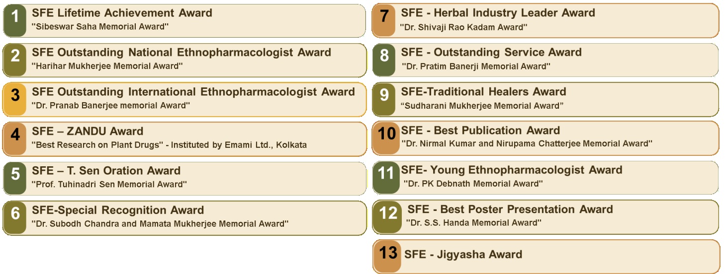 SFE Awards and Recognition